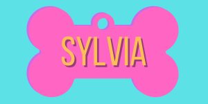 Sylvia logo for theatre production