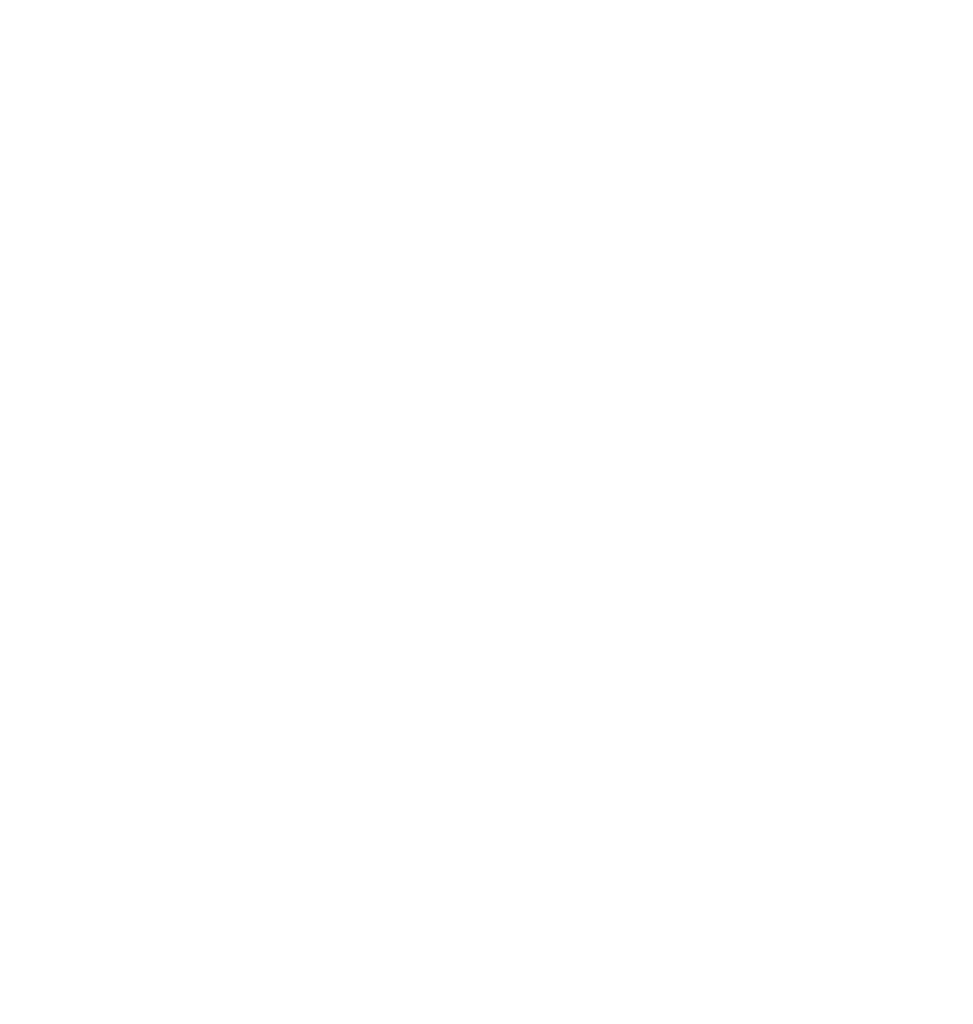 Hanover Panthers Logo